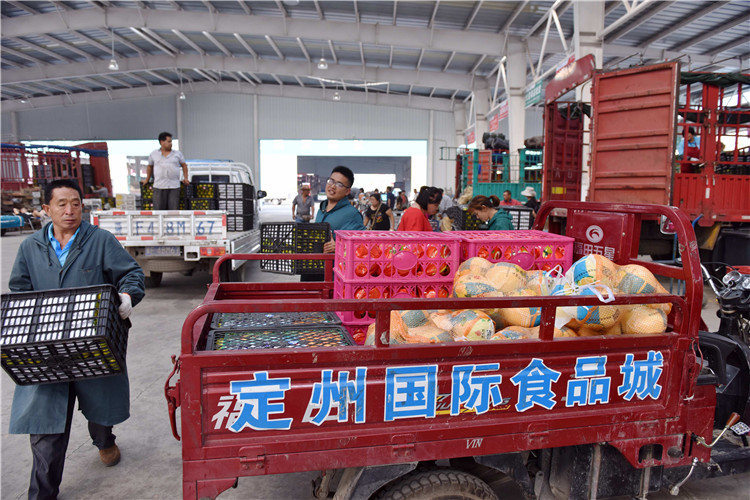 四重专业食品贸易展一个国际食品168体育资讯与贸易平台